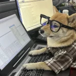 Summer Pet Shirt British Style Plaid Dog Vest Clothes For Small Dogs Chihuahua Cotton Puppy Shirts 5 | PricZone