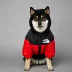 Dog Winter Down Jacket for Small to Medium Dogs 5 | PricZone