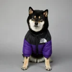 Dog Winter Down Jacket for Small to Medium Dogs 4 | PricZone