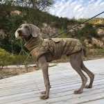 Large Dog Winter Reflective Snowsuit Jacket 2 | PricZone