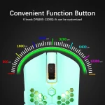 Ziyou Lang Blue LED Gaming Keyboard Set 5 | PricZone