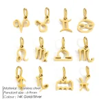 Zodiac Constellation Stainless Steel Charms Set 1 | PricZone